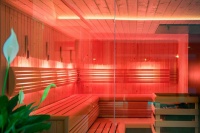 Sauna-professionnel---Iprana.jpg