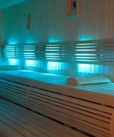 Sauna-trad-pro.jpg