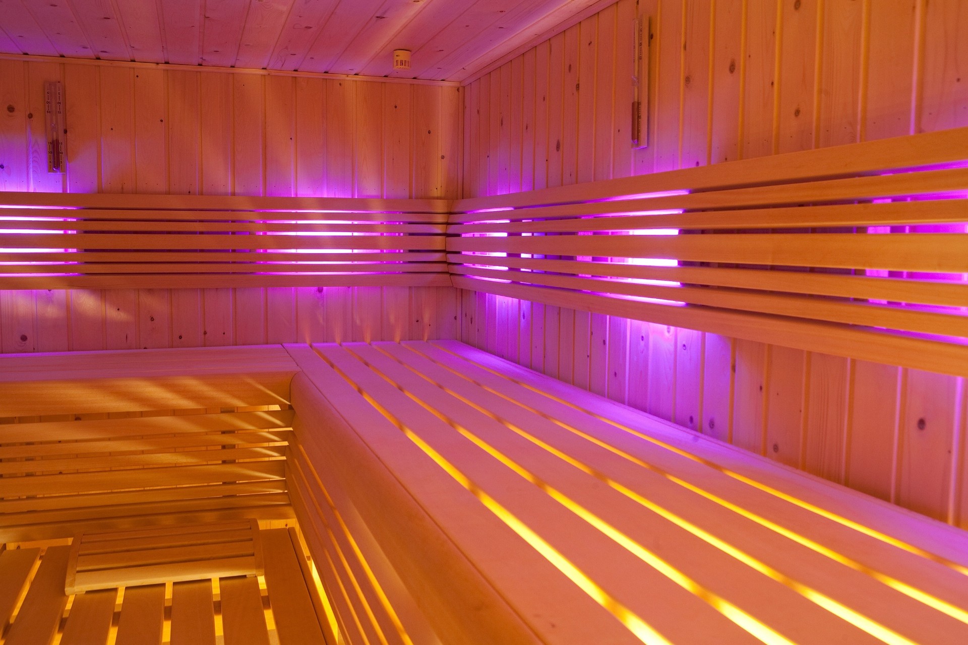 Sauna Professionnel
